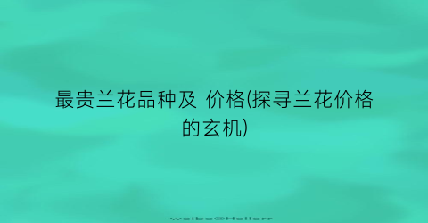 最贵兰花品种及 价格(探寻兰花价格的玄机)